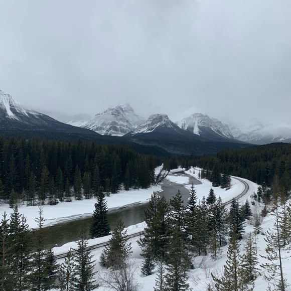 Meet your Posher, Adam - Picture 1 of 1